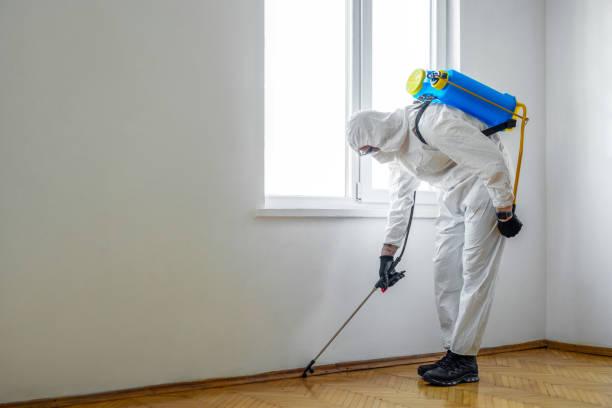 Best Residential Pest Control  in Beale Af, CA